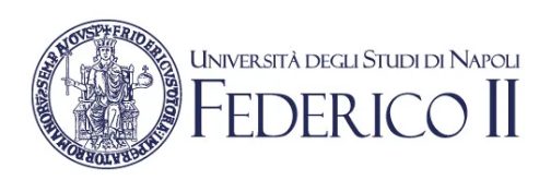 University of Naples Federico II